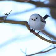 ヒメ日記 2025/08/15 19:06 投稿 るみ マリン千姫