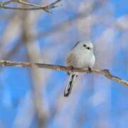 ヒメ日記 2025/08/23 23:32 投稿 るみ マリン千姫