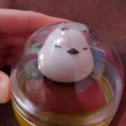 ヒメ日記 2025/08/27 06:42 投稿 るみ マリン千姫