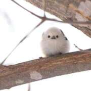 ヒメ日記 2025/08/29 22:42 投稿 るみ マリン千姫