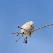 ヒメ日記 2025/08/31 23:12 投稿 るみ マリン千姫