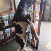 ヒメ日記 2025/09/13 19:42 投稿 るみ マリン千姫