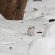 ヒメ日記 2025/09/17 22:42 投稿 るみ マリン千姫