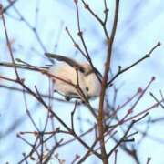 ヒメ日記 2025/09/20 23:42 投稿 るみ マリン千姫