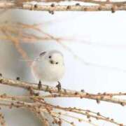 ヒメ日記 2025/09/24 22:12 投稿 るみ マリン千姫