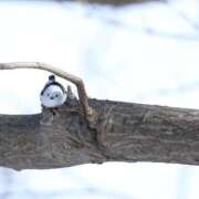 ヒメ日記 2025/09/30 22:02 投稿 るみ マリン千姫