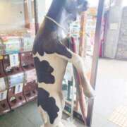 ヒメ日記 2025/10/26 15:32 投稿 るみ マリン千姫