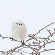 ヒメ日記 2025/10/27 16:11 投稿 るみ マリン千姫