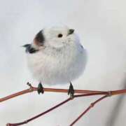 ヒメ日記 2025/11/15 15:02 投稿 るみ マリン千姫