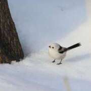 ヒメ日記 2025/11/22 23:02 投稿 るみ マリン千姫