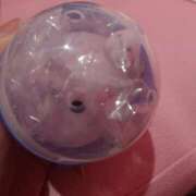 ヒメ日記 2026/01/18 23:03 投稿 るみ マリン千姫