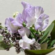 ヒメ日記 2026/02/06 09:04 投稿 わかこ 梅田アバンチュール