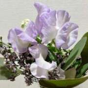 ヒメ日記 2026/02/06 09:22 投稿 わかこ 梅田アバンチュール