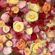 ヒメ日記 2026/03/01 22:13 投稿 わかこ 梅田アバンチュール