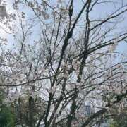 ヒメ日記 2026/03/28 21:12 投稿 わかこ 梅田アバンチュール