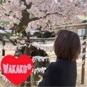 ヒメ日記 2026/04/01 11:11 投稿 わかこ 梅田アバンチュール