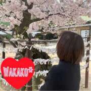 ヒメ日記 2026/04/01 11:31 投稿 わかこ 梅田アバンチュール