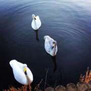 ヒメ日記 2025/03/18 17:32 投稿 なるみ 水戸デブ専肉だんご＆人妻浮気現場