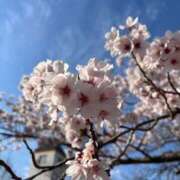 なるみ 出勤しました★ 水戸デブ専肉だんご＆人妻浮気現場