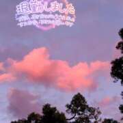 ヒメ日記 2024/12/29 18:47 投稿 あずさ姫 螢