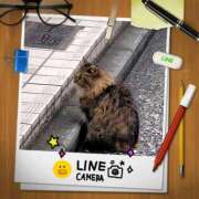 ヒメ日記 2025/01/07 19:46 投稿 あずさ姫 螢