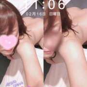 ヒメ日記 2025/02/16 11:15 投稿 あずさ姫 螢