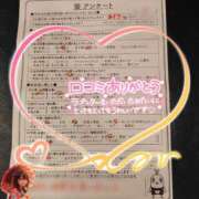 ヒメ日記 2025/02/23 21:17 投稿 あずさ姫 螢