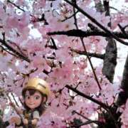 ヒメ日記 2025/03/27 18:15 投稿 あずさ姫 螢