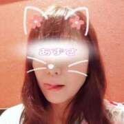 ヒメ日記 2025/04/28 09:14 投稿 あずさ姫 螢