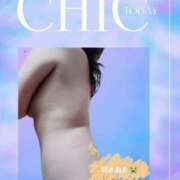 ヒメ日記 2025/05/12 09:00 投稿 あずさ姫 螢