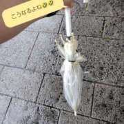 ヒメ日記 2025/05/17 14:08 投稿 あずさ姫 螢