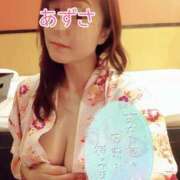 ヒメ日記 2025/05/23 07:14 投稿 あずさ姫 螢