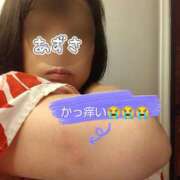 ヒメ日記 2025/06/27 10:29 投稿 あずさ姫 螢