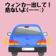 ヒメ日記 2025/07/09 19:04 投稿 あずさ姫 螢