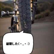 ヒメ日記 2025/08/16 13:35 投稿 あずさ姫 螢