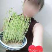 ヒメ日記 2025/10/02 10:35 投稿 あずさ姫 螢