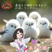 ヒメ日記 2025/10/30 19:19 投稿 あずさ姫 螢