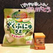 ヒメ日記 2025/11/07 12:49 投稿 あずさ姫 螢