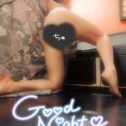 ヒメ日記 2025/11/10 23:01 投稿 あずさ姫 螢