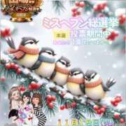 ヒメ日記 2025/11/18 11:30 投稿 あずさ姫 螢