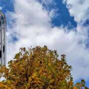 ヒメ日記 2025/11/18 13:36 投稿 あずさ姫 螢