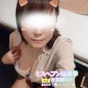 ヒメ日記 2025/11/19 12:04 投稿 あずさ姫 螢