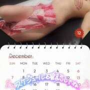 ヒメ日記 2025/11/21 22:31 投稿 あずさ姫 螢