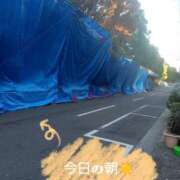 ヒメ日記 2025/11/24 21:55 投稿 あずさ姫 螢