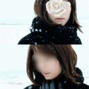 ヒメ日記 2025/11/28 10:31 投稿 あずさ姫 螢