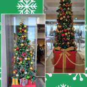 ヒメ日記 2025/12/09 15:02 投稿 あずさ姫 螢