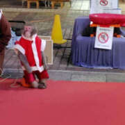 ヒメ日記 2025/12/22 19:46 投稿 あずさ姫 螢