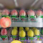 ヒメ日記 2026/01/17 18:33 投稿 あずさ姫 螢