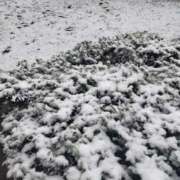 ヒメ日記 2026/02/08 08:57 投稿 あずさ姫 螢