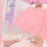 ヒメ日記 2026/05/26 11:38 投稿 あずさ姫 螢
